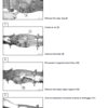 Case 21d Tier 2 Small Wheel Loaders Service Manual