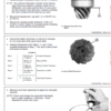 John Deere TeamMate II 1600 Series Inboard Planetary Axles Component Technical Manual