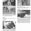 New Holland W190C Wheel Loader Service Manual