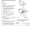 4-19-600x746-1.png John Deere 4TNV98, 4TNV98T Diesel Engines Repair Manual