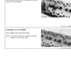 4-21-600x746-1.png John Deere 3029, 4039, 4045, 6059, 6068 Engines Saran Repair Manual