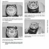 Bobcat B250 Loader Service Repair Manual