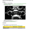 John-Deere-Z810A-Z820A-Z830A-Z840A-Z850A-ZTrak-Mower-Repair-Manual-TM101319_417.png John Deere Z810A, Z820A, Z830A, Z840A, Z850A, Z860A ZTrak Mower Repair Manual
