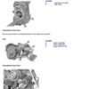 TM116719-3.jpg John Deere 4LZ-2.5 Combine Diagnostic Repair Technical Manual