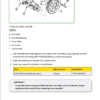 John Deere 5103, 5103S, 5103E, 5203 Tractors Repair Technical Manual