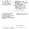 Fiat 446, 446DT Tractor Workshop Service Manual