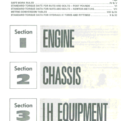 Cub Cadet 800, 1000, 1200, 1250, 1450 and 1650 Service Manual
