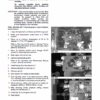 Challenger MT835C, MT845C, MT855C, MT865C, MT875C Tractor Service Manual